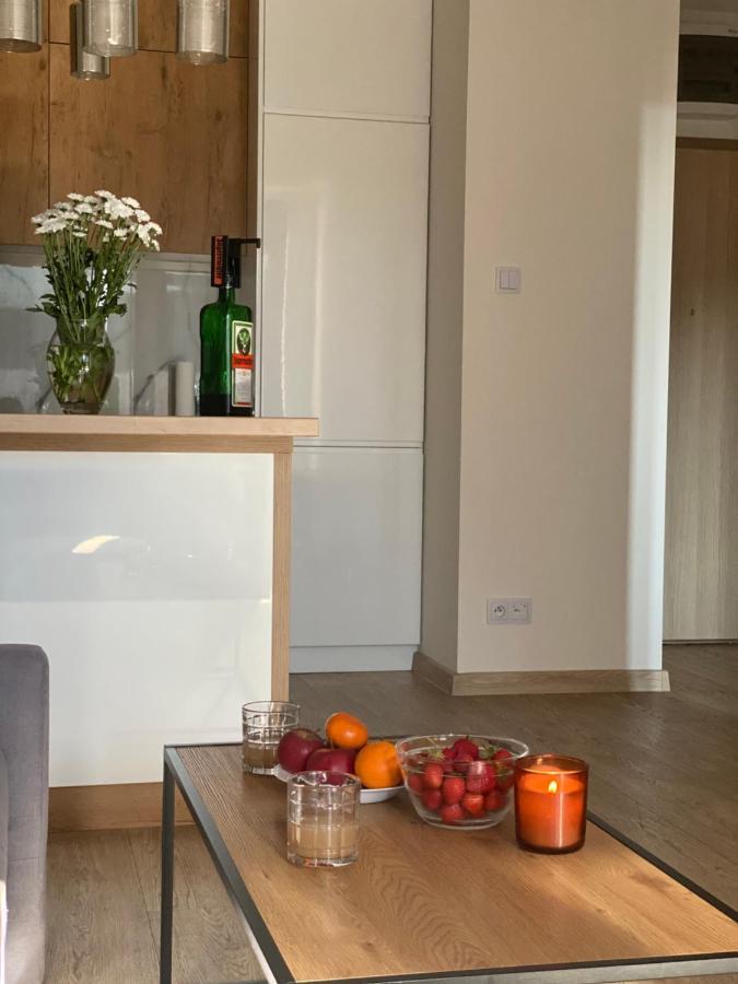 غوجوف فييلكوبولسكي Modern Apartments & Free Parking المظهر الخارجي الصورة